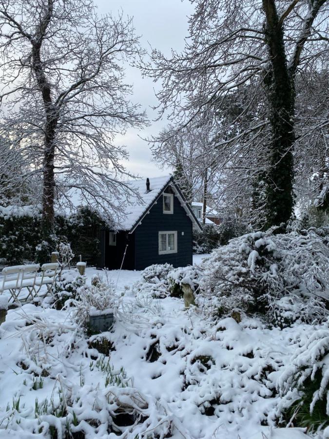 Garden Find Zandvoort Bentveld Exteriör bild